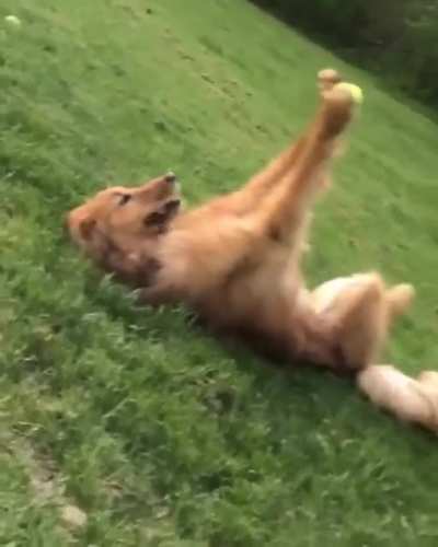 Oh tennis ball, I love you so much