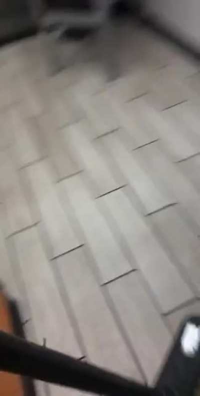 Spider ?️ vs Broom ?