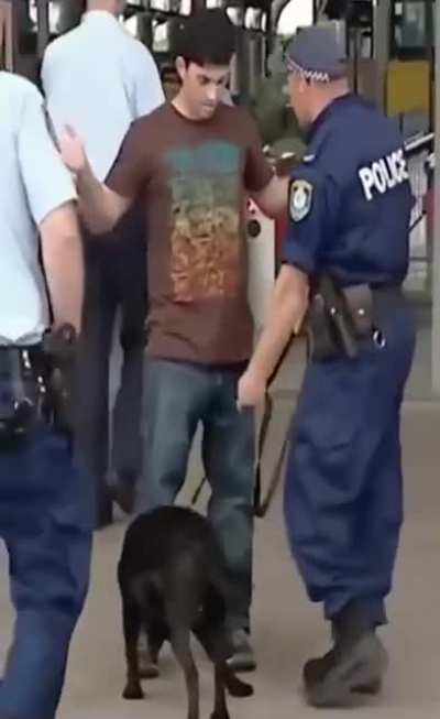 Cop dogs are really good at sniffing out stuff