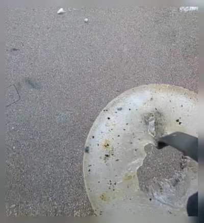 Just more ice, in case anyone still wants it.