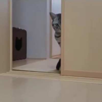 Come here...