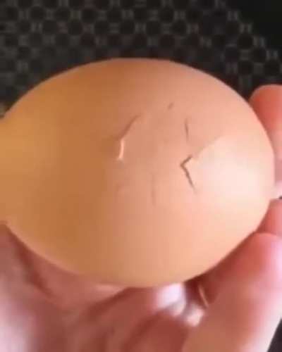 "new species that hatches so quickly"..
