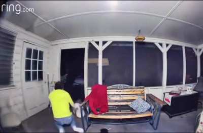 Florida man attacks black bear ?