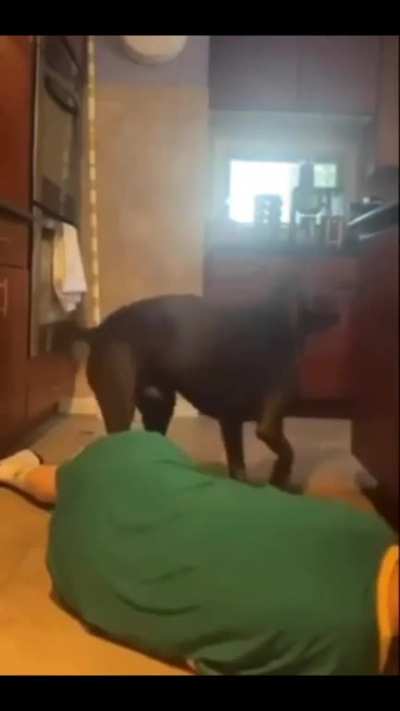 " This will finish the job "
