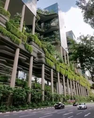 This beautiful "jungle in the city" in Singapore