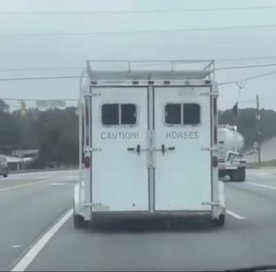 CAUTION: HORSES ?