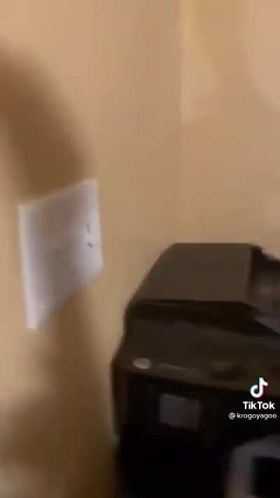 Kid destroys their parents printer for fun