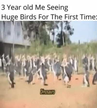 D ‌ ‌ ‌ ‌ ‌ ‌ ‌ ‌ ‌ ‌ I ‌ ‌ ‌ ‌ ‌ ‌ ‌ ‌ ‌ ‌ N ‌ ‌ ‌ ‌ ‌ ‌ ‌ ‌ ‌ ‌ O ‌ ‌ ‌ ‌ ‌ ‌ ‌ ‌ ‌ ‌ S ‌ ‌ ‌ ‌ ‌ ‌ ‌ ‌ ‌ ‌ A ‌ ‌ ‌ ‌ ‌ ‌ ‌ ‌ ‌ ‌ U ‌ ‌ ‌ ‌ ‌ ‌ ‌ ‌ ‌ ‌ R ‌ ‌ ‌ ‌ ‌ ‌ ‌ ‌ ‌ ‌ S