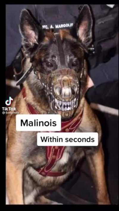 He’ll give it a go