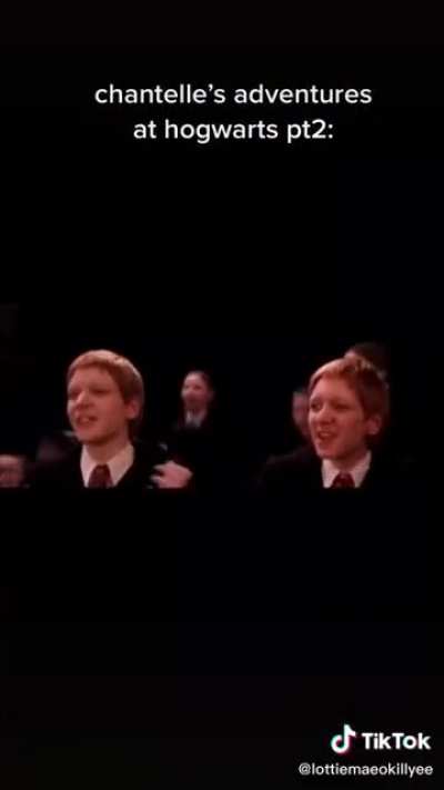 Meanwhile at Hogwarts