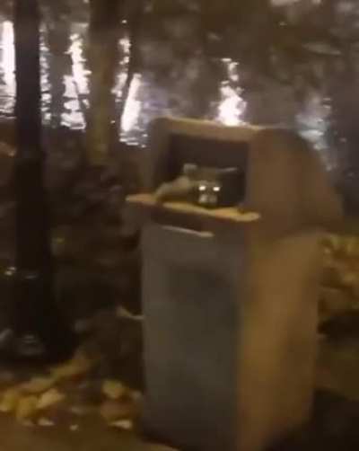 Maybe maybe maybe