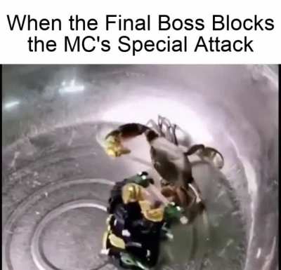 When the Final Boss Blocks the MC's Special Attack