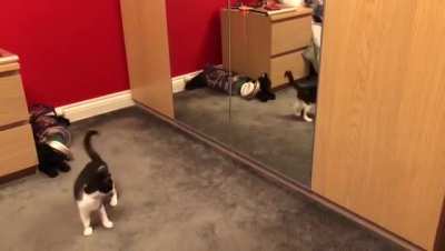 Attacking reflection ?