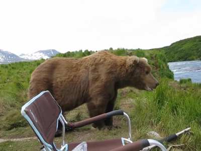 Bear sits next to guy.