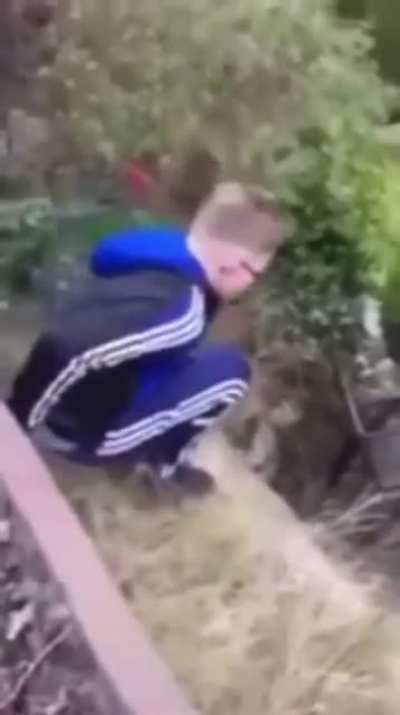Kid jumps into glass table