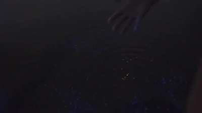 ? Glowing waters of Vaadhoo island