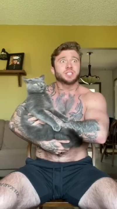 Cat Artist