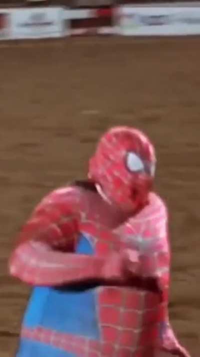 Spider-Man Back from vacation ?