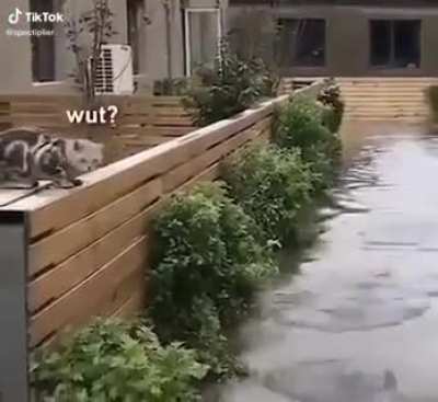 confused ?