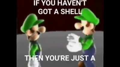Shells