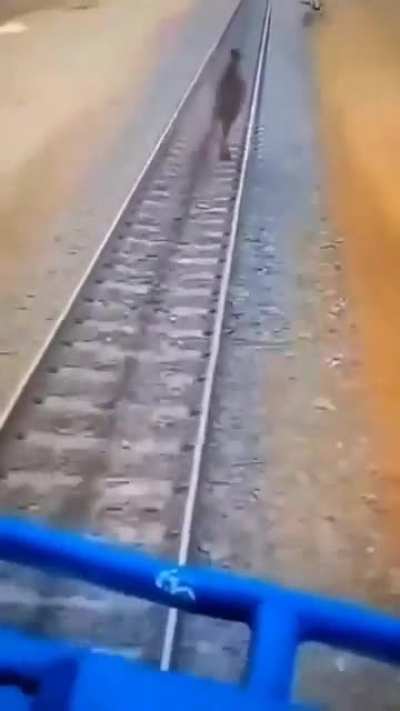 Machine vs mammals