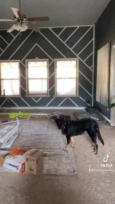 Tiktok makes you do some dumb sh*t