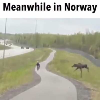 Meanwhile in Norway