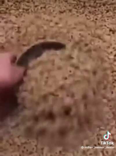 ??
