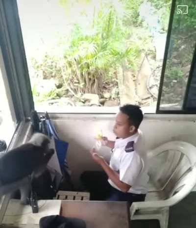 Share bread pliz bro ?