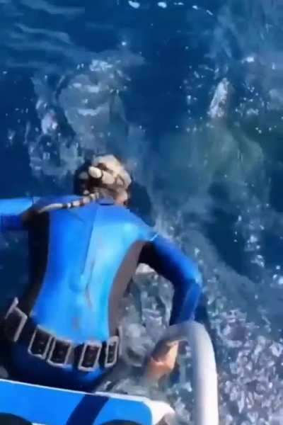 ? A diver's close encounter of the Jaws kind.