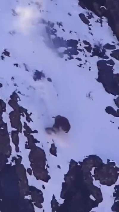 Cheater hunting on an edge of a cliff