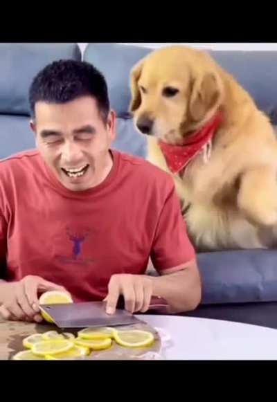 Dog attacking a ? user
