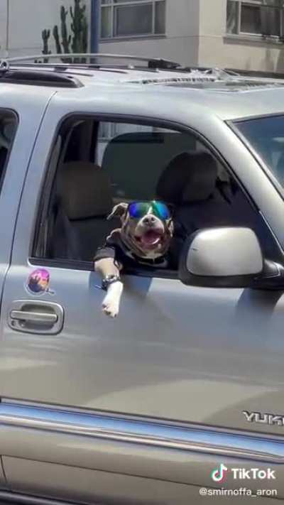 Snoop Paws ?