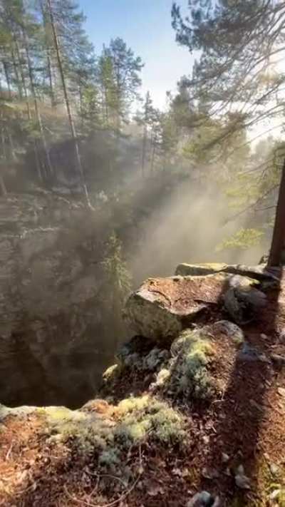 ? Norwegian woods
