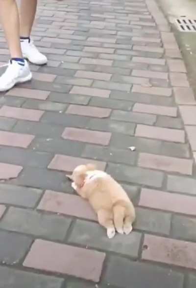 I'm not following you, I just want my leaf