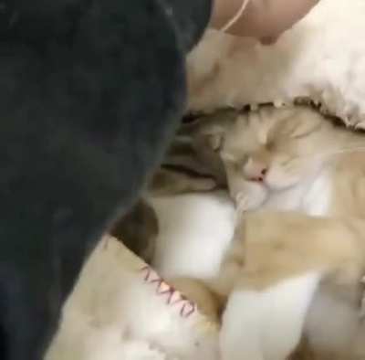 Snuggling up