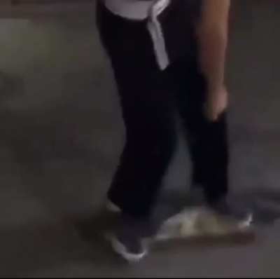 Wait for it