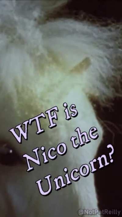 WTF is Nico the Unicorn? ?