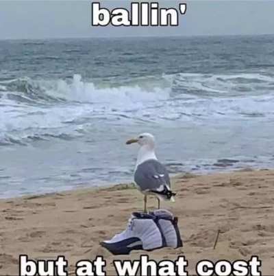 But at what cost...