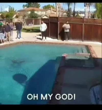 Dog Jesus