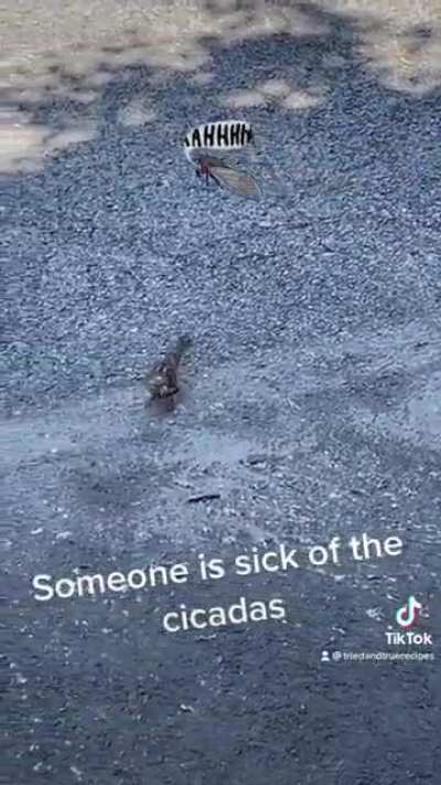 This bird has had enough.