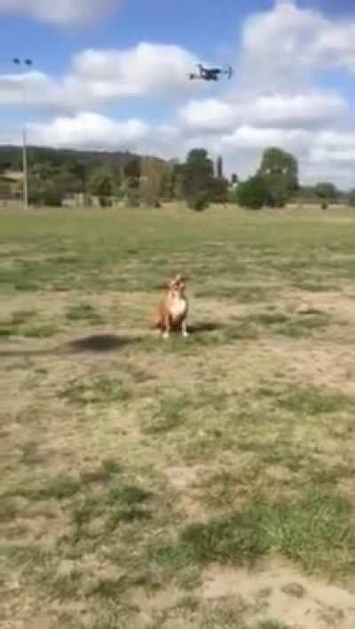 Incoming