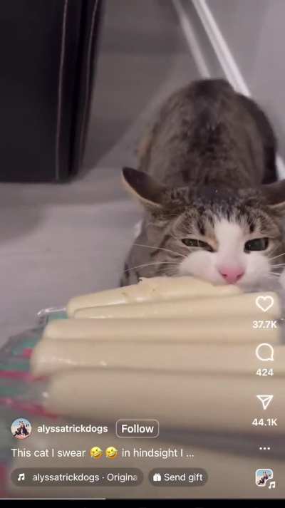 My string cheese now!