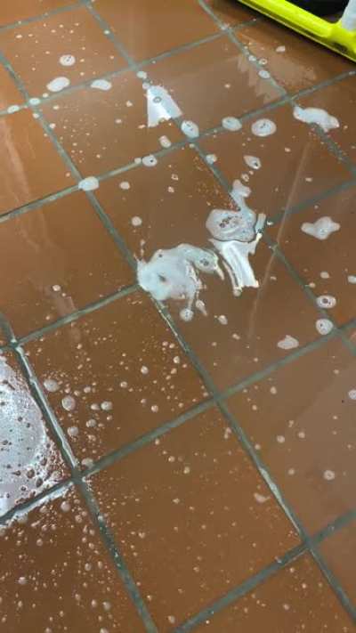 I conjured a mini whirlpool at work today