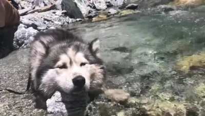 ? relax with water ?