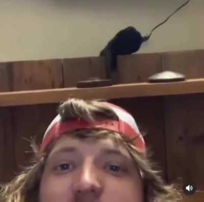 Cat knew exactly what he was doing