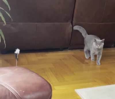 Whole family was looking for him for over an hour ?