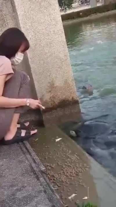 This is why we can't have nice things.
