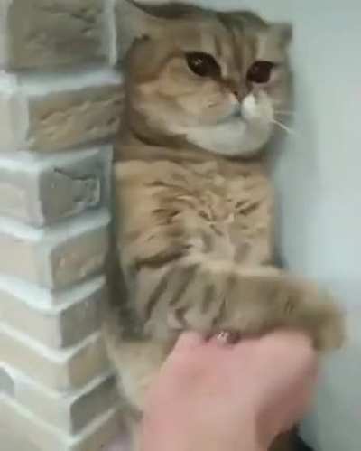 Don’t mess with Cat Lee!! ??