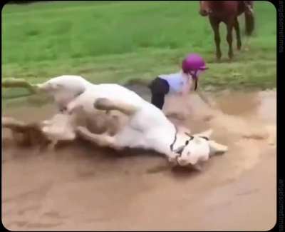 water horse